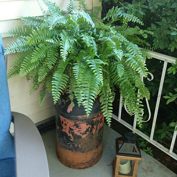 Meet your Posher, Keri - Picture 4 of 4